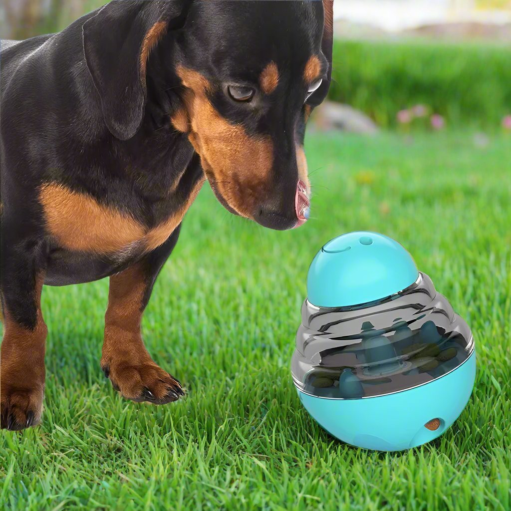 Gobelet Interactif - SlowFeederDog™ - Turquoise - Super chien